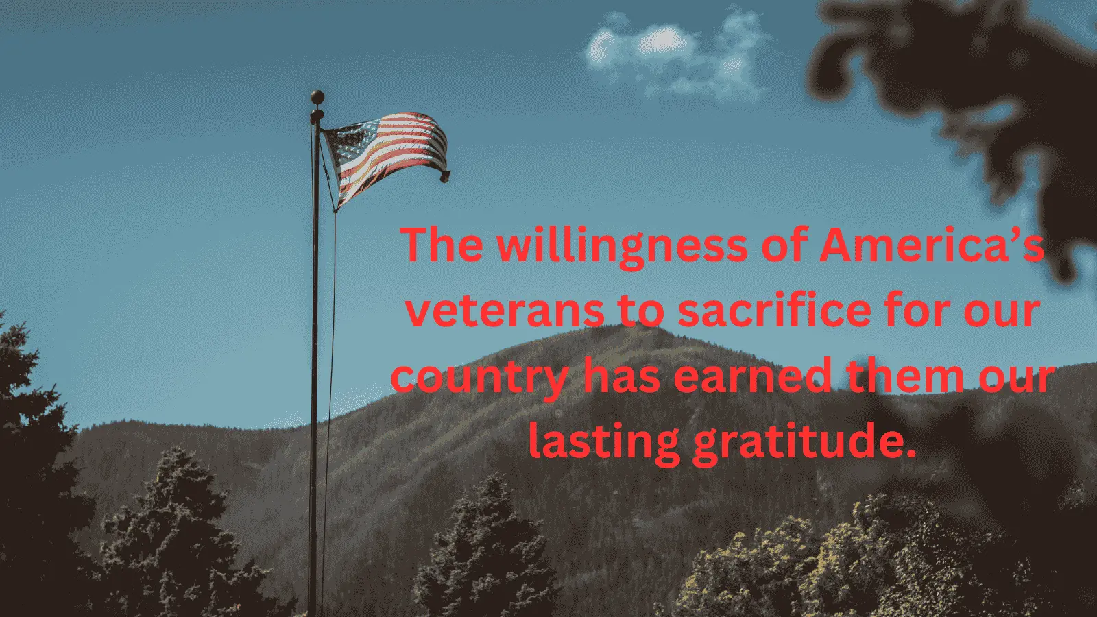 Read more about the article Best Heartfelt Veterans Day Quotes to Inspire and Honor in 2025