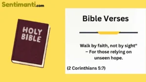 Read more about the article Top 260 Bible Verses for Instagram Bio in 2025