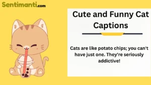 Read more about the article 350 The Best Cat Captions: Cute, Funny, and Totally Pawsome for instagram in 2025