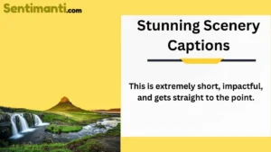 Read more about the article Top 455 Stunning Scenery Captions: Find the Perfect Words for Your Breathtaking Photos in 2025