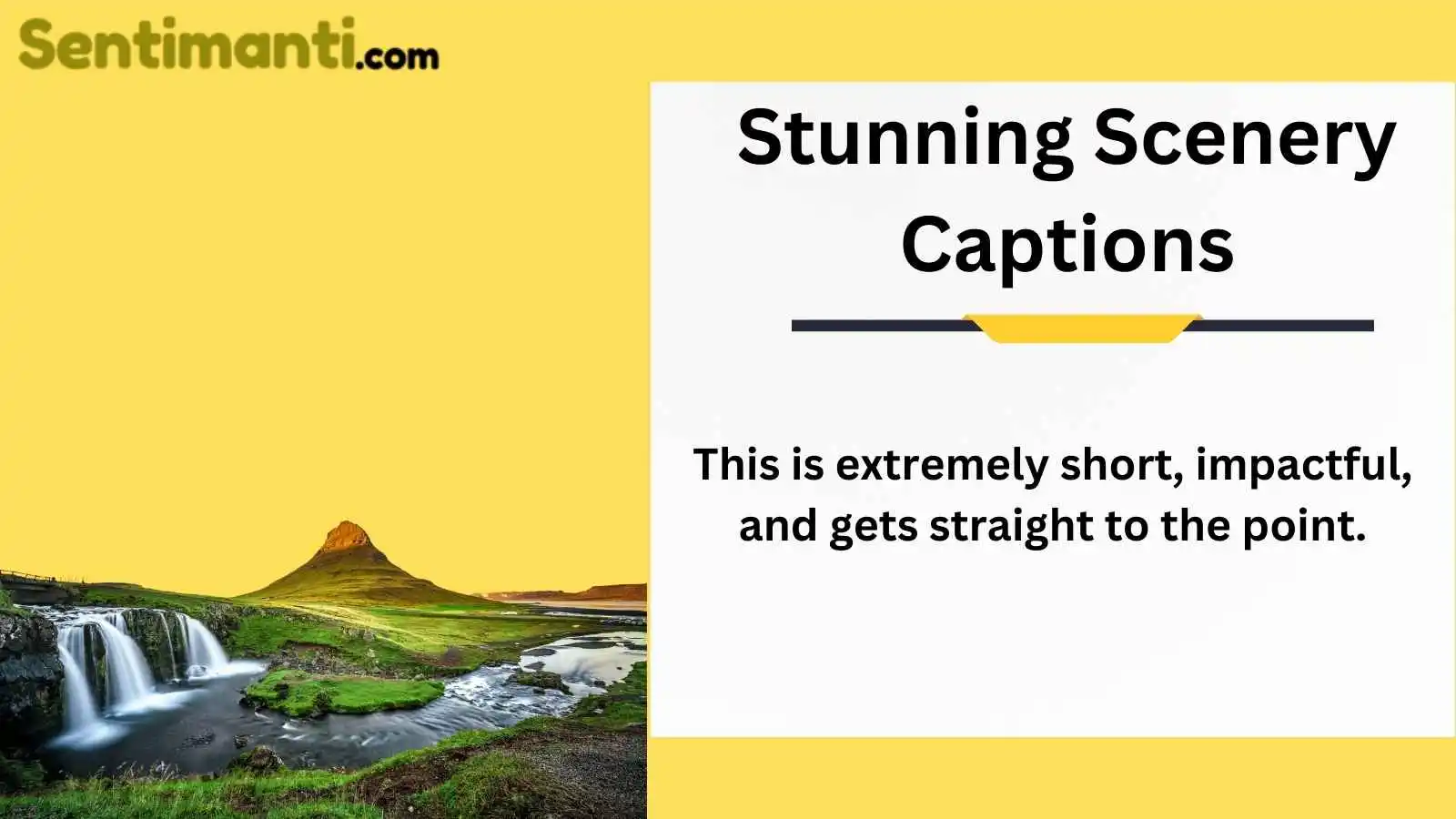 Read more about the article Top 455 Stunning Scenery Captions: Find the Perfect Words for Your Breathtaking Photos in 2025