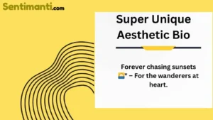 Read more about the article Best 330 Super Unique Aesthetic Bio for Instagram in 2025