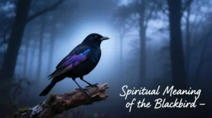 Read more about the article 645+Spiritual Meaning of Seeing a Blackbird Symbolism 2025