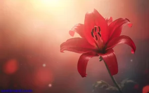 Read more about the article 648+Spiritual Meaning of Seeing a Red Spider Lily Symbolism 2025