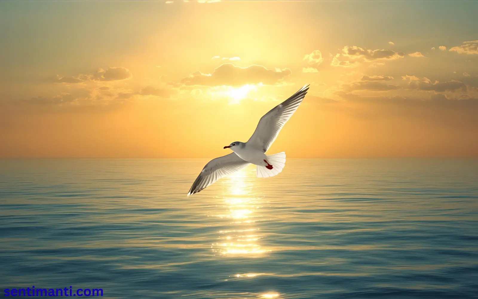 Read more about the article 566+Spiritual Meaning of Seeing a Seagull Symbolism 2025