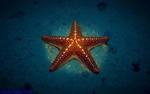 Read more about the article 244+Spiritual Meaning of Seeing a Starfish Symbolism 2025