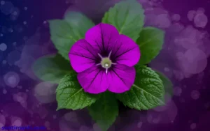 Read more about the article 423+ Spiritual Meaning of Seeing a Petunia Symbolism For 2025