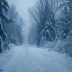 333+ Spiritual Meaning of Seeing Snow Symbolism For 2025