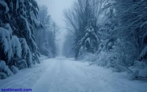 Read more about the article 333+ Spiritual Meaning of Seeing Snow Symbolism For 2025